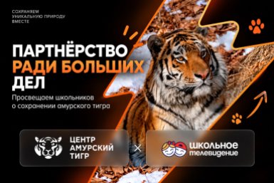 Амурский тигр и "Школьное телевидение": соглашение о просветительских материалах для школ